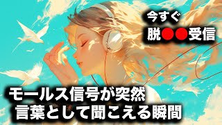 【脱初心者】モールス信号の受信力を飛躍的に伸ばす●●受信（アマチュア無線）