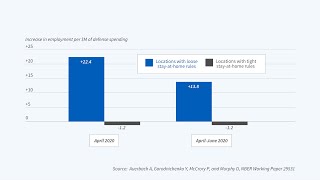 Variation in Stay-at-Home Rules and Fiscal Multipliers