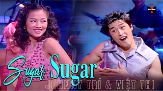 VAN SON 😊 Sugar Sugar  - Johnny Trí - Việt Thi