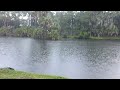 relaxing sound of rain on water 8 hrs long