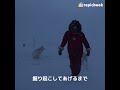 －40℃の犬たち shorts