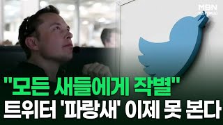 ＂모든 새들에게 작별＂ 트위터 '파랑새' 이제 못 본다 外 | 이슈픽