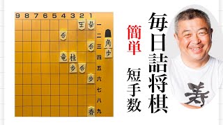 Daily Shogi puzzles, No. 295