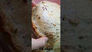 Multi grain Sourdough 곡물 사워도우