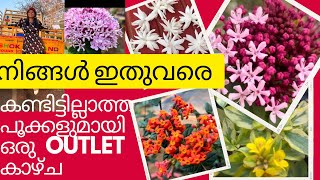 നിങ്ങളിതുവരെ  കാണാത്ത  പൂക്കളുമായി  ഒരു  outlet  കാഴ്ച