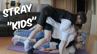 Stray Kids Acting Like Actual Children.…