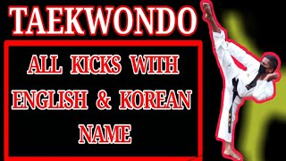 Taekwondo All Kicks With Korean Name.Beginners must watch 😊