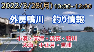 外房鴨川エリア釣り情報2022/3/28(月)10:00~12:00