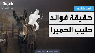 تفاعلكم | مزارع يكشف فوائد مذهلة لحليب الحمير ومختص يرد