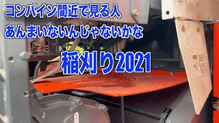 稲刈り知らない全ての人へ、稲刈り2021 30代米作り奮闘記#2