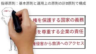 CSR検定2級に合格する方法 /「ビジネスと人権」に関する国際的な枠組み / [SDGs CSR]