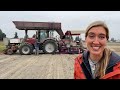 Tulip Bulb Planting at RoozenGaarde