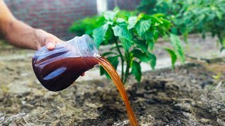 Say Goodbye to Expensive Fertilizers: This Weed Trick Will Blow Your Mind