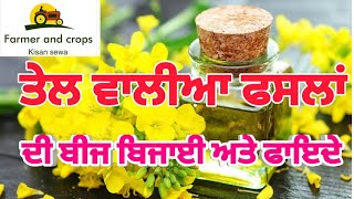 ਤੇਲ ਬੀਜ ਫ਼ਸਲਾਂ (Canola seed oil crops)