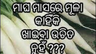 ମାଘ ମାସରେ ମୂଳା, ଧନିଆ ଓ ବରକୋଳି ଖାଇବା ଉଚିତ ନୁହେଁ କାହିଁକି ???