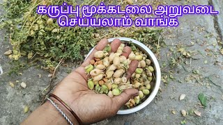 தோட்டக்கலை# கருப்பு மூக்கடலை எப்படி இருக்கு பாருங்கள் #nature