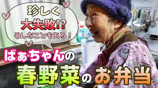 A bright and colorful bento lunch with a 90-year-old grandmother. [Main part]