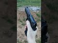 beretta 92f rapid fire