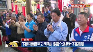 下跪見證麻豆文旦簽約 謝龍介:違者肚子痛兩周－民視新聞