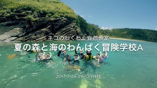 夏の森と海のわんぱく冒険学校2017A（ネコのわくわく自然教室・2017/07）