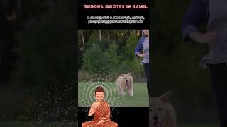 உன் வாழ்வு மகிழ்ச்சியாகவே இருக்கும்./quotes about life in tamil சிந்தனைகள்,பொன்மொழிகள்,தத்துவங்கள்.