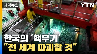[자막뉴스] "한국 핵무장, 전 세계 소프트파워 파괴" 강력한 경고 / YTN