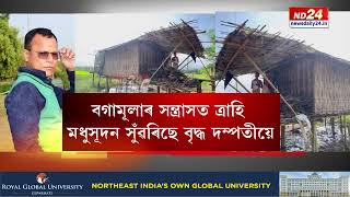 Dhemaji Land Grabbing News: ধেমাজিত এতিয়া সন্ত্ৰাসৰ এটা নাম বগামূলা ওৰফে বিপুল বৰুৱা