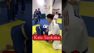 Judo Ne Waza (Kata Sankaku) один из вариантов переворота на удержание, ORTUS.KZ