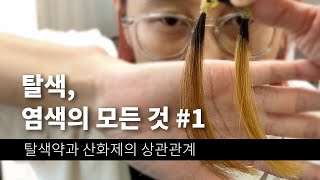 탈색,염색의 모든것 #1 (탈색약과 산화제의 상관관계) _요상한TV