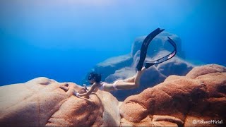 【FiDive's Angels】The Haunting Beauty of the Freediving Scenes