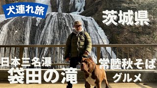 犬連れお出かけ 茨城県 常陸秋そばグルメ&袋田の滝