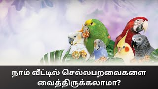 நாம் வீட்டில் செல்லபறவைகளை வைத்திருக்கலாமா? #155(Can we have birds at home???)/C.K.Nandagopalan