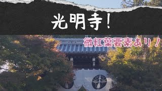 京都を歩いて【光明寺】＃写真集