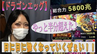 【ドラゴンエッグ】あきくろぴーのすけ、ドンドン『龍神ルーレットガチャポイント』を貯める！！１０月の目標は『１京』を超えてみせる！！！・・・その力を普段も活かしてくれたら・・・byギルドメンバー一同。