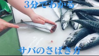 【サバ】3分でわかるサバのさばき方