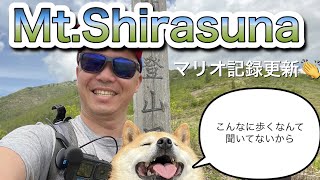 【群馬県　白砂山】【犬連れ】マリオくん　白砂山に挑戦！自己ベストなるか。