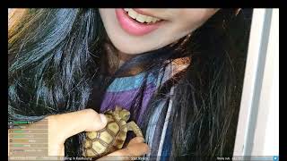 小龜龜在企鵝妹的胸膛上睡著了  聊天室暴動 Little tortoise fell asleep on Jinny's chest Chat room riot