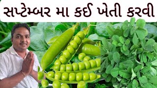 સપ્ટેમ્બર | માં કયા |શાકભાજી | વાવવા | September |showing |vegetable ￼￼|