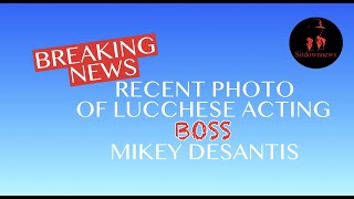 Latest photo of Lucchese acting boss, Mikey DeSantis