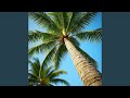 on the Coconut Tree