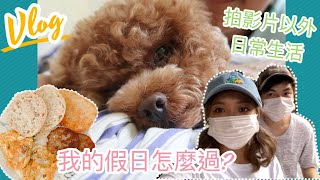 ✥ 長洲 Vlog ✥ 陪我們過一整天～ Chopper可愛片段/ 情侶無聊對話 / 隱世遛狗路線  || Dottie Hidee ||