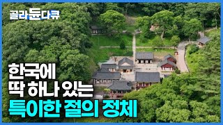 대한민국에 딱 하나 있는 독특한 절│천년고찰 칠갑산 장곡사│한국의 가볼만한 사찰│고향민국│#골라듄다큐