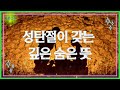 🩸💥성탄절이 갖는 깊은 숨은 뜻 예수예수교회 목사님 읽는 기도책 저자