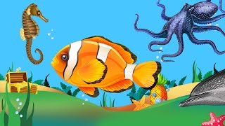 Zeedieren en Vissen herkennen! / JBW Productions / Leer wat er in het water leeft!