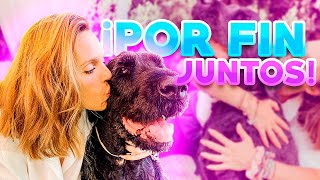 🐶NEWTON HA VUELTO y MIA TIENE CELOS!🤭⎮Vlogs diarios