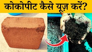 कोकोपीट का उपयोग कैसे करें | How To Use coco peat in hindi