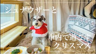 【日本一周】車内で愛犬と過ごすクリスマス【車中泊】