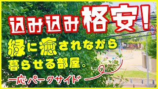 【込み込みで格安！窓からの景色も魅力！】公園横で緑に癒される！一人暮らしに最適！駅近＆セパレートな1K賃貸マンション！