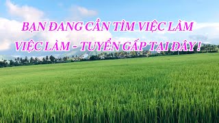 BẠN ĐANG CẦN TÌM VIỆC LÀM | VIỆC LÀM TUYỂN GẤP TẠI ĐÂY !