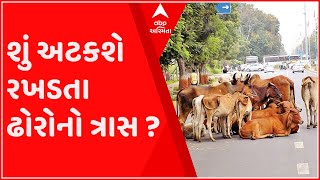 રાજ્યમાં શહેરી વિસ્તારમાં રખડતા ઢોરની સમસ્યાના નિરાકરણ માટે વિધાનસભામાં લવાશે બિલ